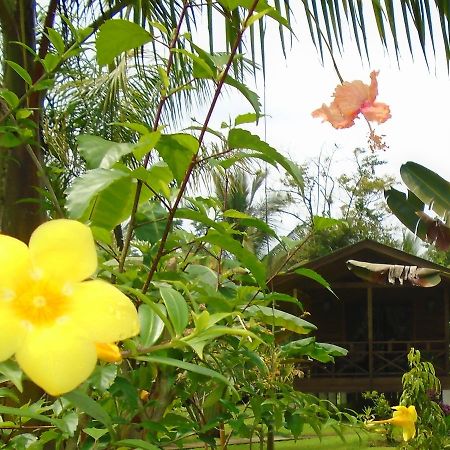 J And H Garden Cabinas Bocas Town Dış mekan fotoğraf