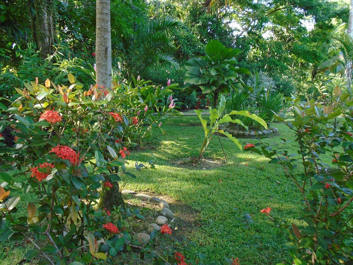 J And H Garden Cabinas Bocas Town Dış mekan fotoğraf