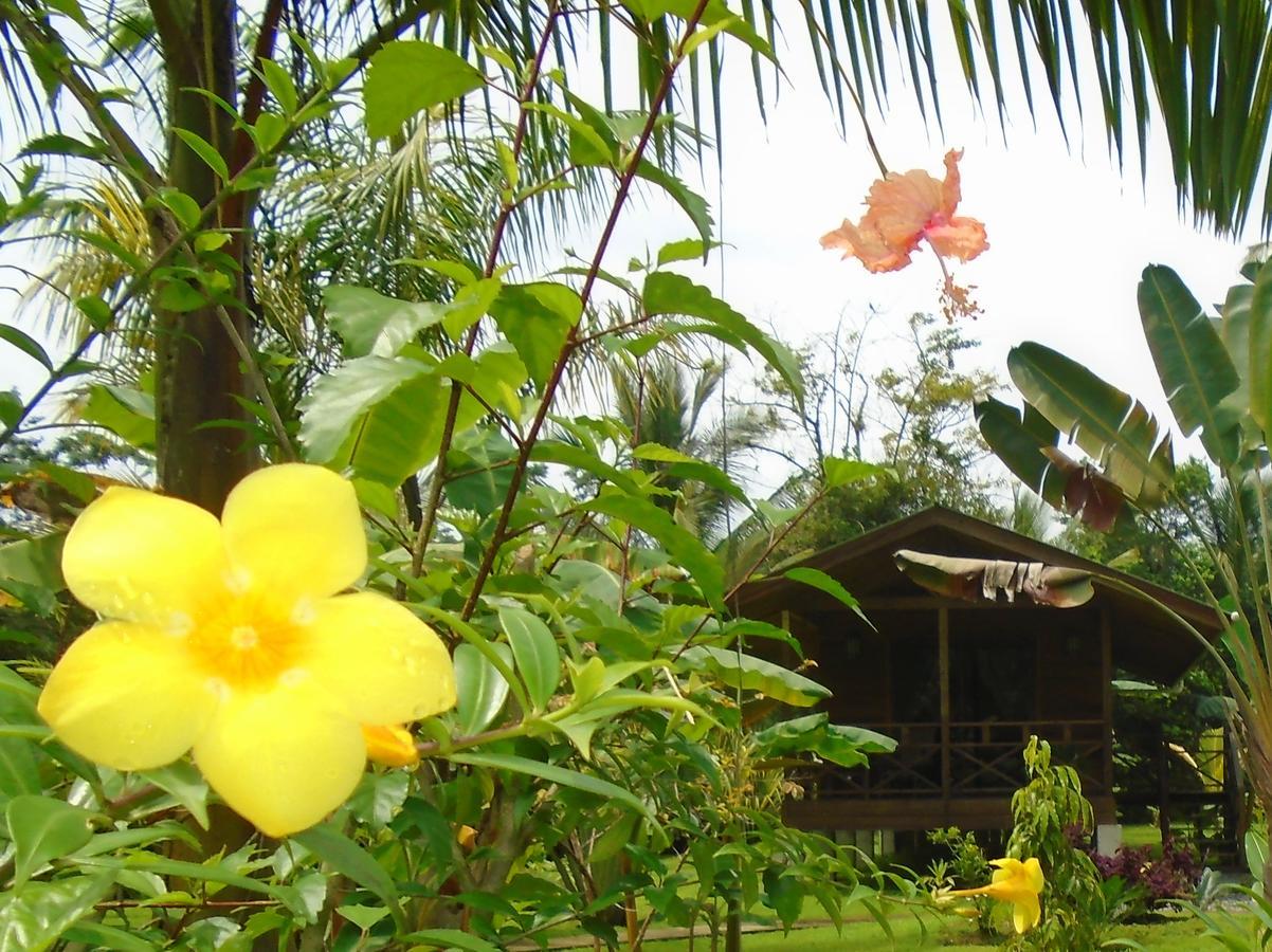 J And H Garden Cabinas Bocas Town Dış mekan fotoğraf